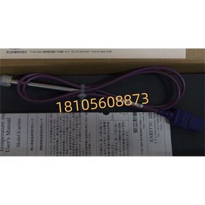 ANRITSU安立计器S-311E-01-0-TC1-ASP高性能静止表面用温度传感器