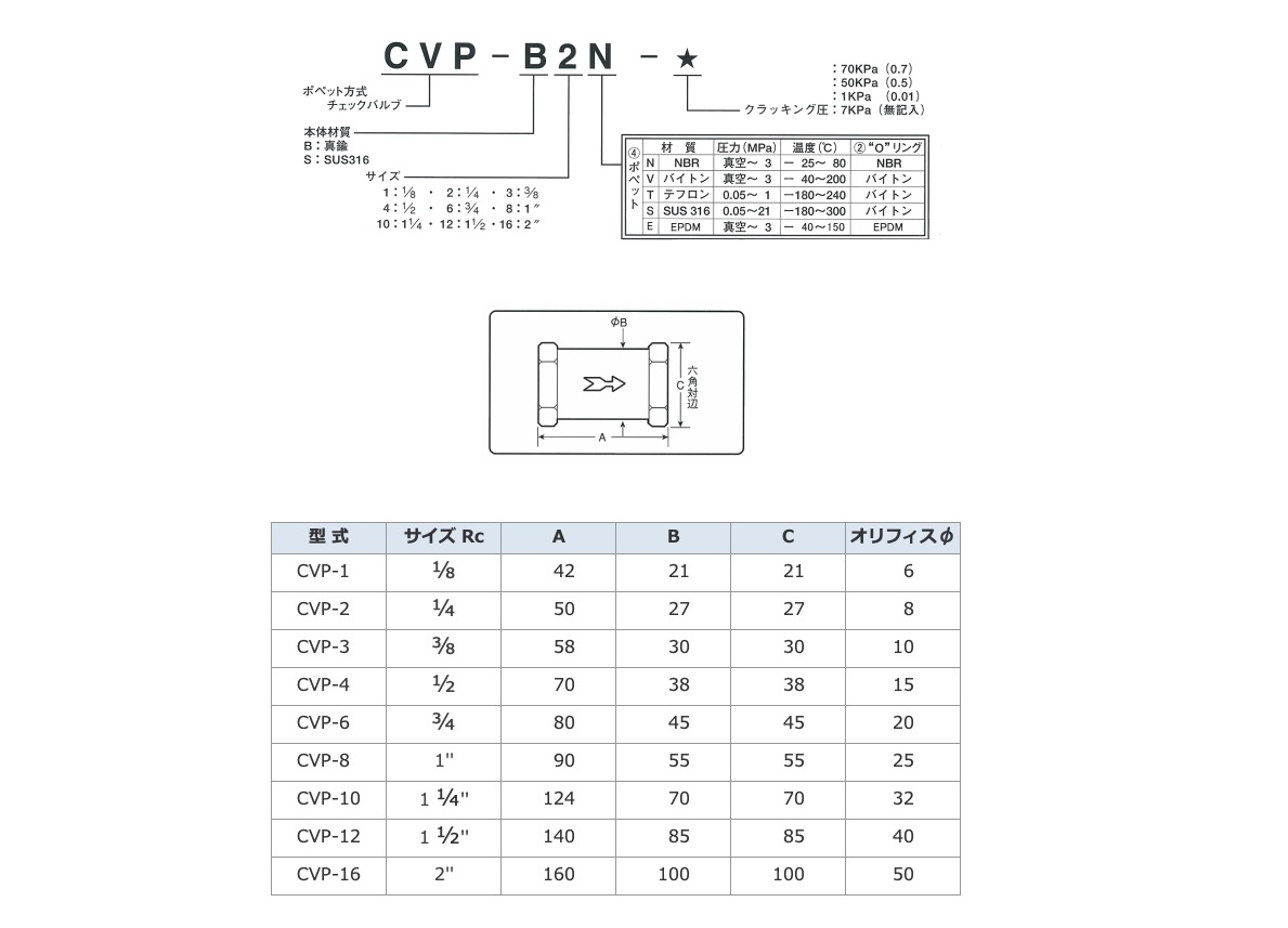CVP-B2-20 .3.jpg