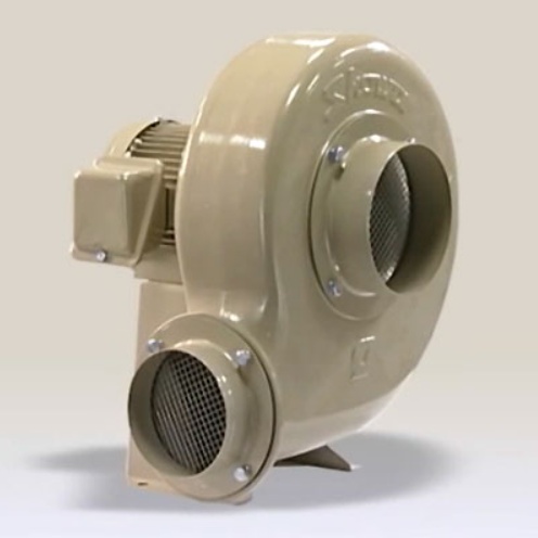 AH-H37-L313.jpg